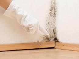 Best Water Damage & Mold Remediation  in Peotone, IL